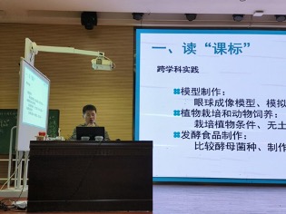 ueditor